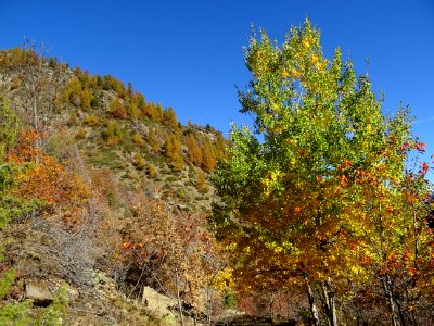 DSC07538 