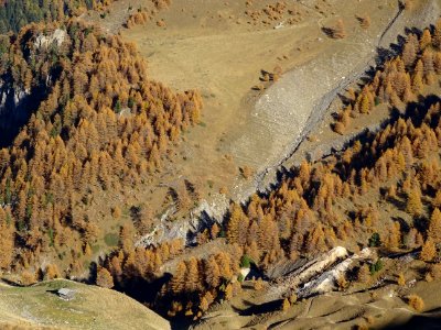 Qui a vu la cabane tout en bas ... ? 