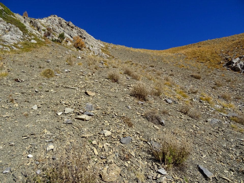 Couloir mi-herbeux, mi-pierrier à remonter jusqu'à toucher… 