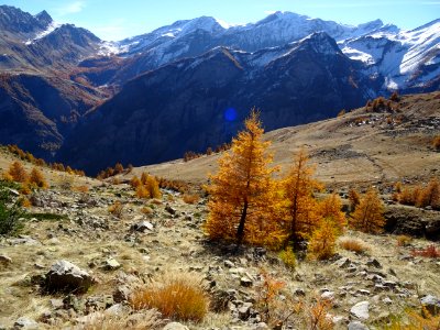 Poursuite de la descente dans le Vallon d'Odeyer. En face … 