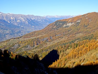 Couleurs d'automne 