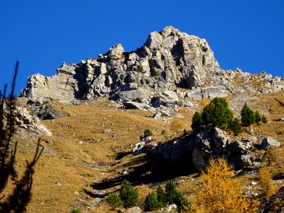 Dans la descente du vallon des Olettes, vue vers le haut e… 