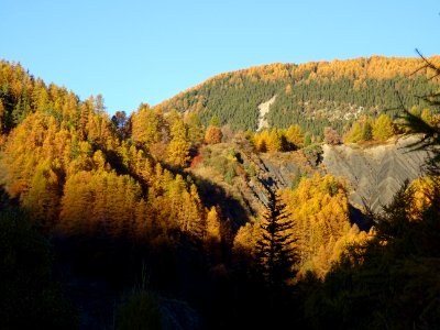 Dernières couleurs ... 