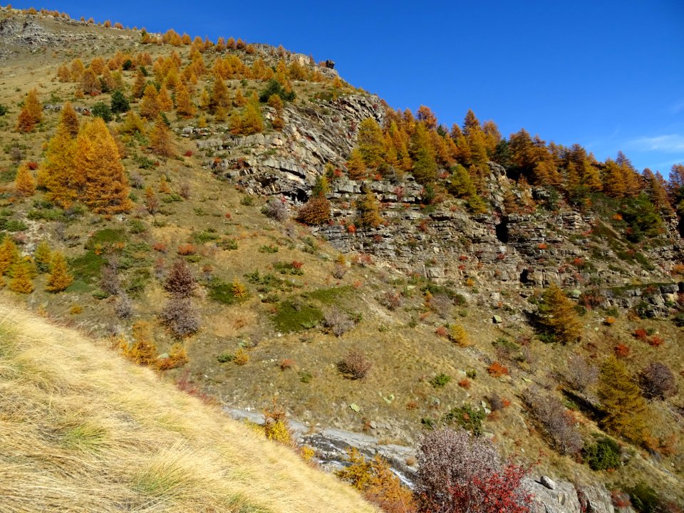 Les couleurs de l'automne sur l'Adret d'Odeyer 