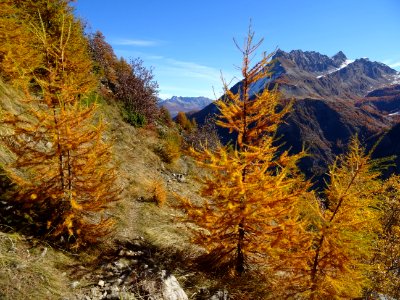 Début du chemin en balcon pour traverser le bas de l'Adret… 