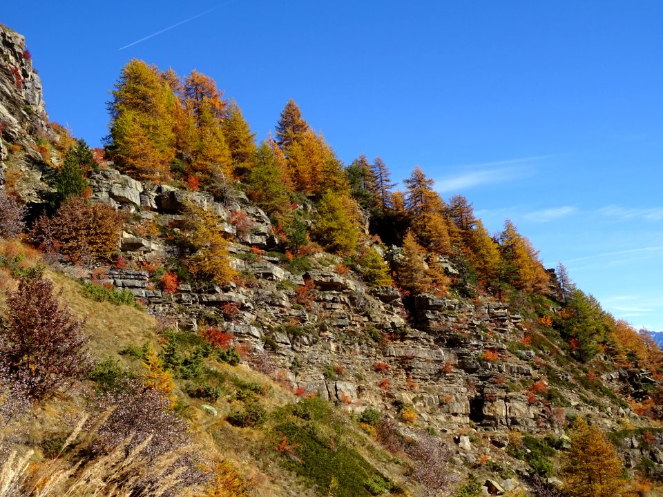 Les couleurs de l'automne sur l'Adret d'Odeyer 