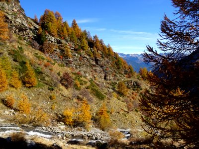 Les couleurs de l'automne sur l'Adret d'Odeyer 