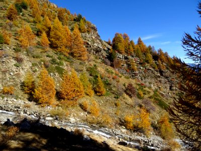 Les couleurs de l'automne ... c'était tellement beau que j… 