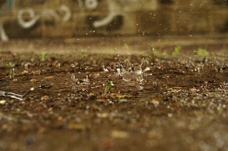 Liquid rain surface tension photo