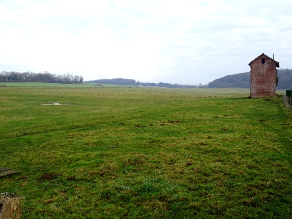 Prairie et maison abandonnée, Canny-sur-Thérain, Oise 