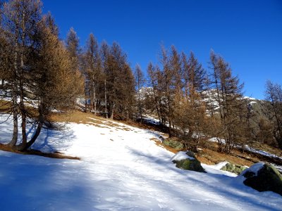Le sentier doit se trouver par là ... sous la neige 
