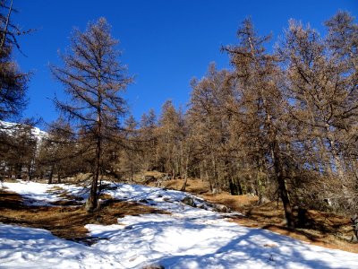 Avec les plaques de neige, le sentier n'est plus trop visi… 