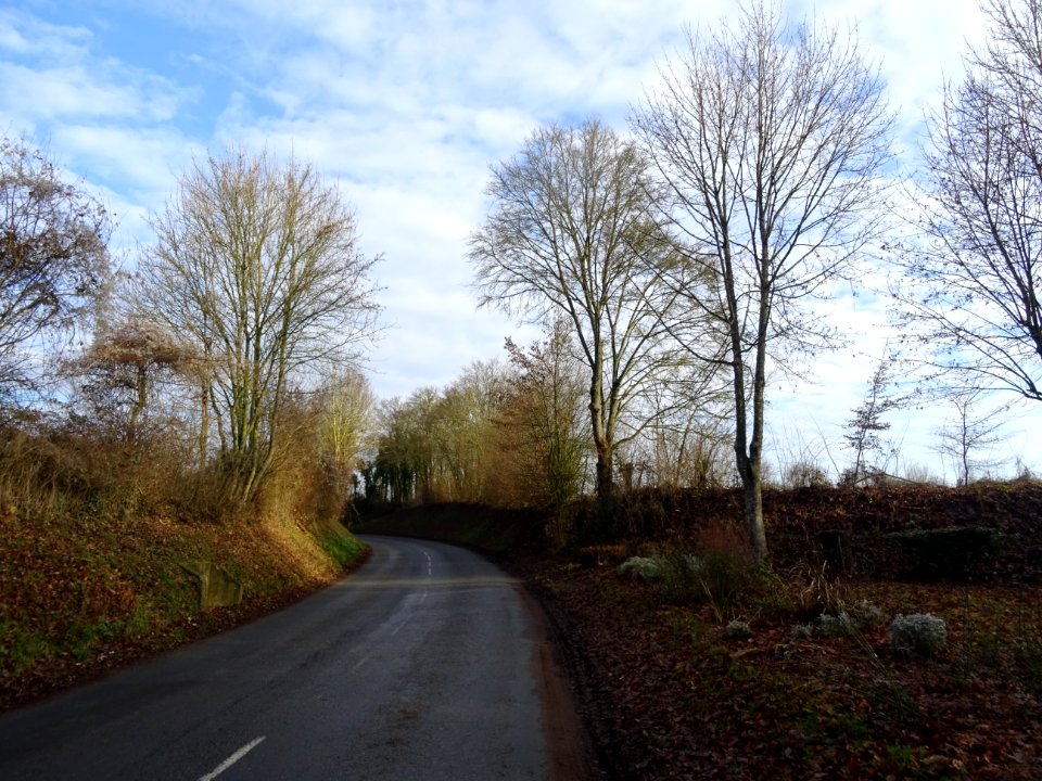 La route est encore humide et grasse de la rosée matinale 