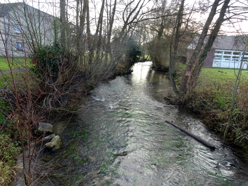 Ruisseau Le Thérain, Songeons, Oise 