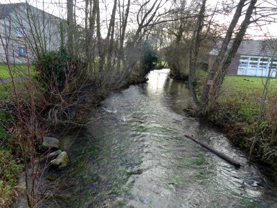 Ruisseau Le Thérain, Songeons, Oise 