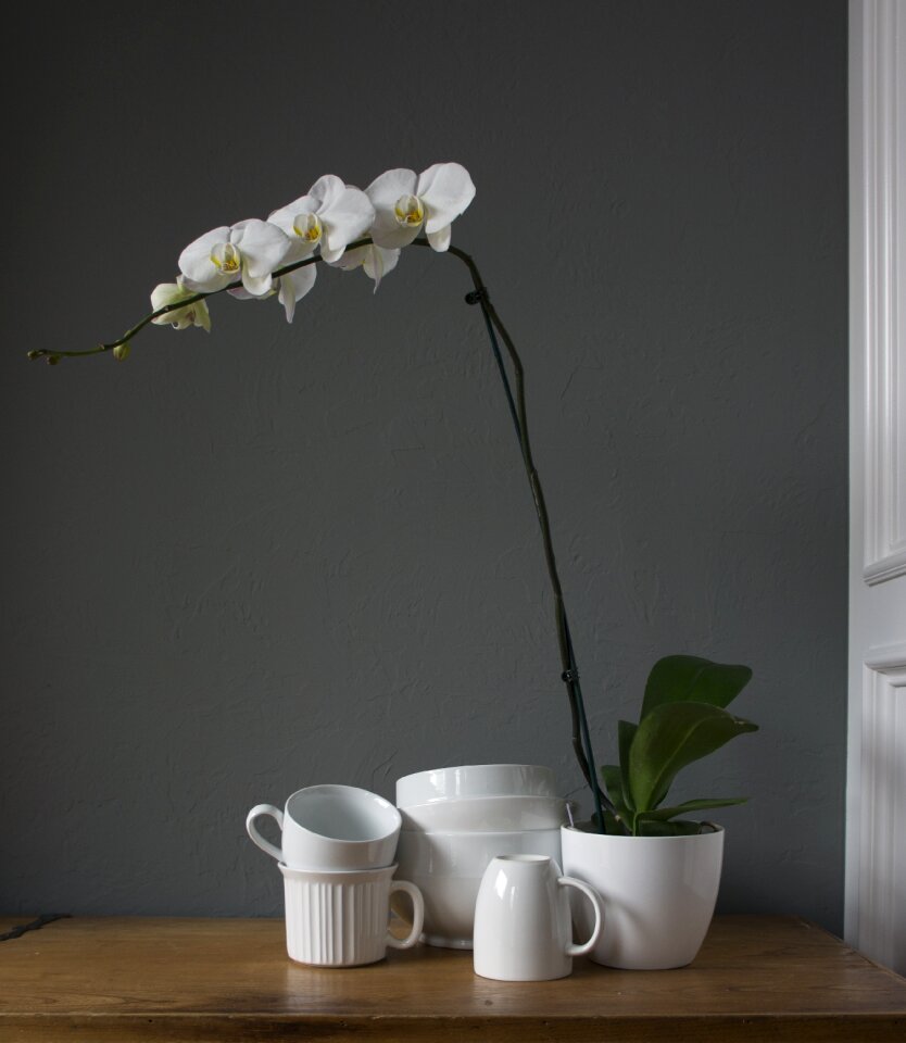 Cups white gray cup