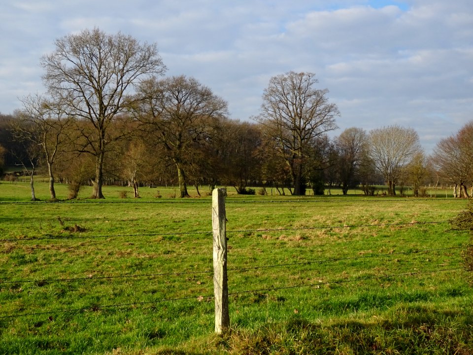 Bocage avant Fontenay-Torcy, Oise 