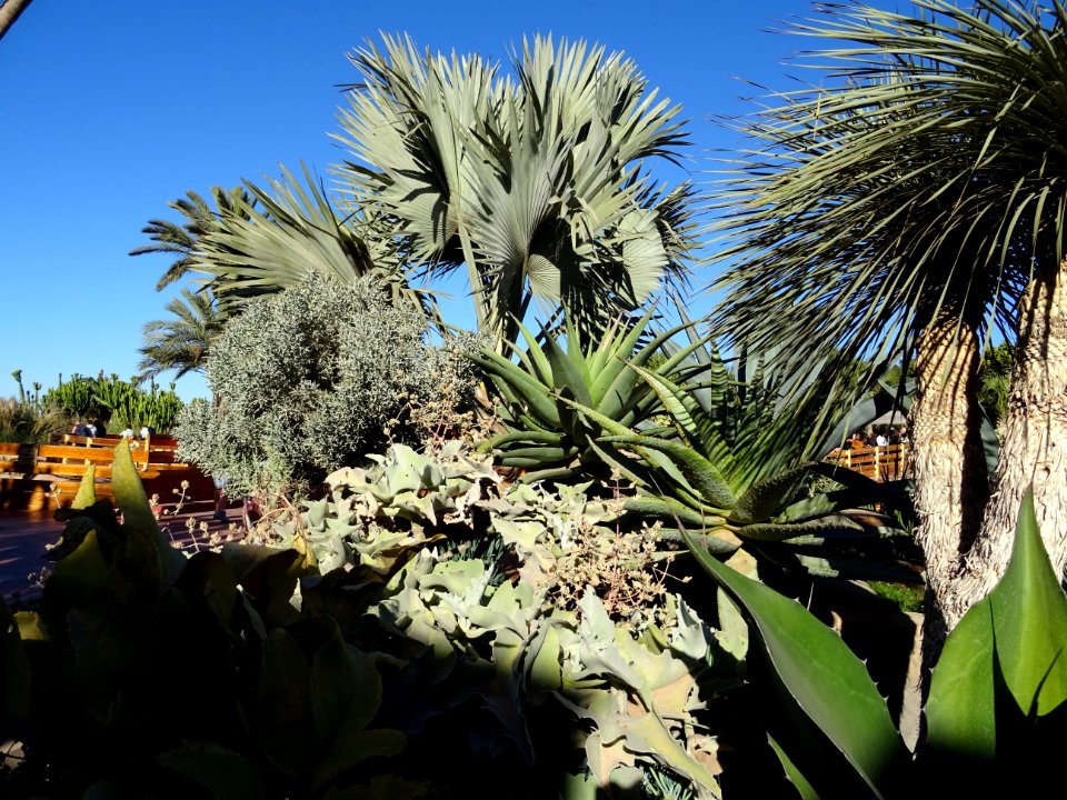 Jardin botanique du Croco Parc 