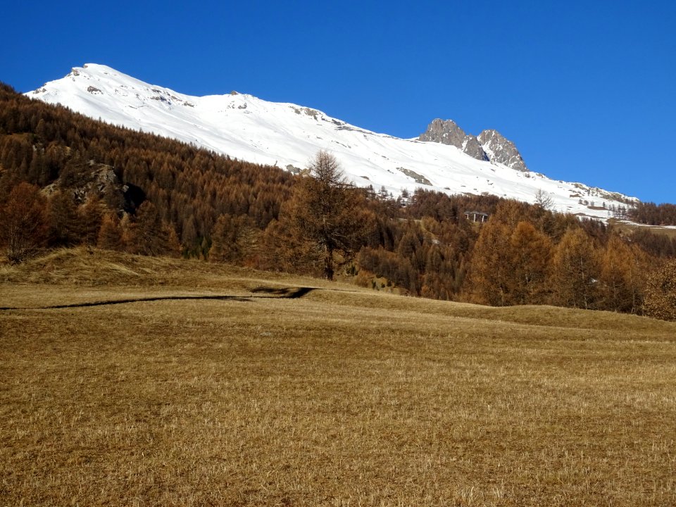 Alpage au dessus de Puy Aillaud, vue vers la Rouya et le P… 