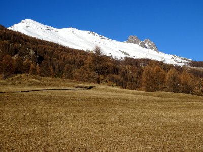 Alpage au dessus de Puy Aillaud, vue vers la Rouya et le P… 