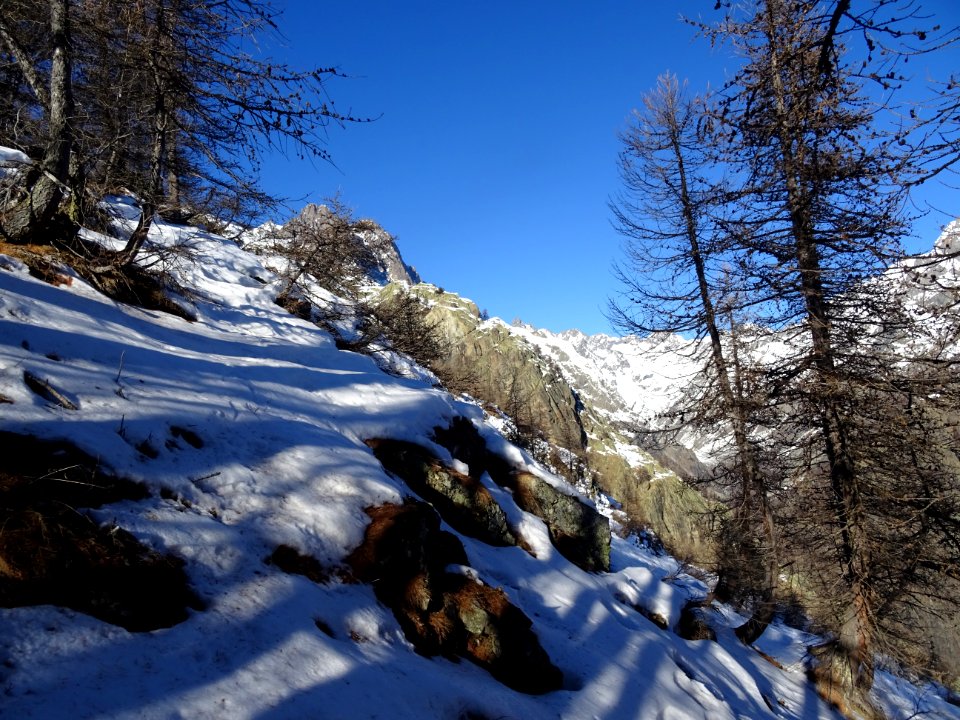Vue vers le Glacier Blanc 