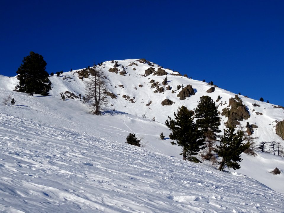 DSC08068 