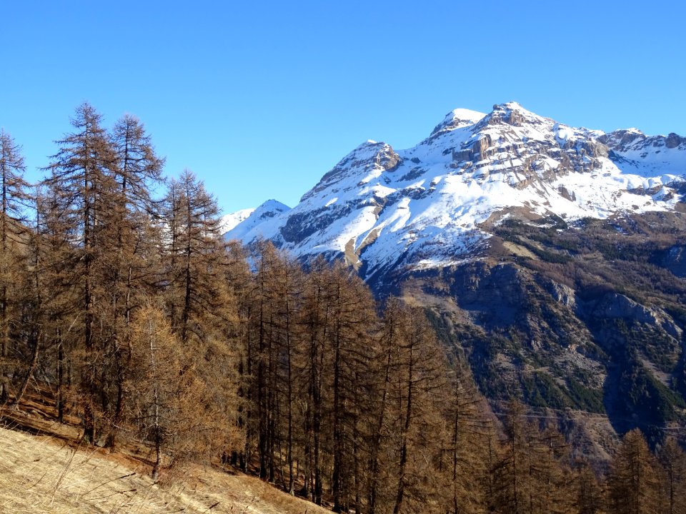La Cime de la Condamine 