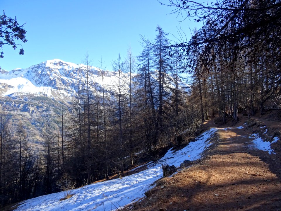 Encore un passage glissant, où le sol gelé et le verglas s… 