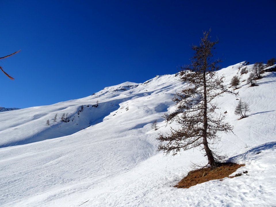 Effets de pente, de neige et de relief, sous la Rouya 