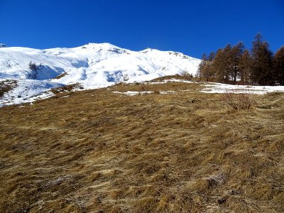 Vue vers le haut et la Rouya, alpage d'herbes sèches couch… 