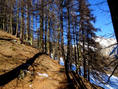 Passage très glissant, sol gelé et verglas sous les aiguil… 