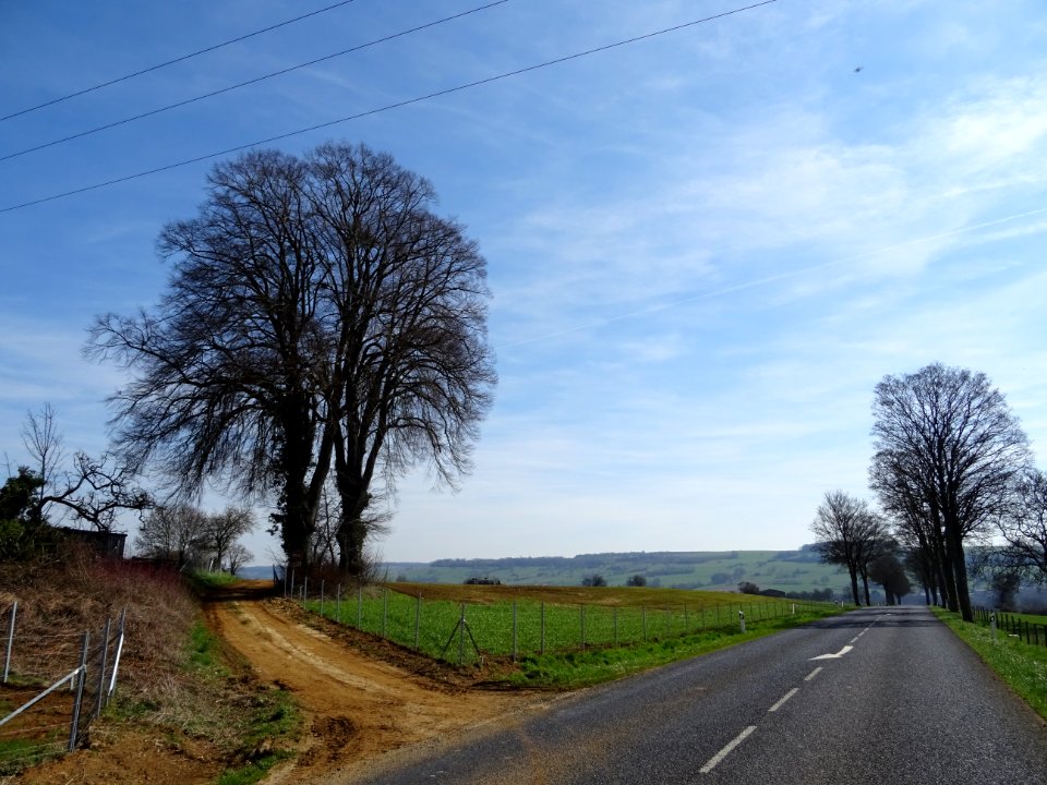 A la sortie de Thonne-le-Thil, Meuse 