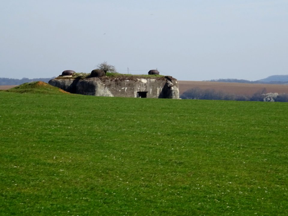 Un bunker envahi par les herbes et les buissons, avant Tho… 