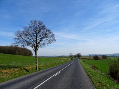 Seul sur la route vers Montmédy et Thonne-le-Thil, Meuse 