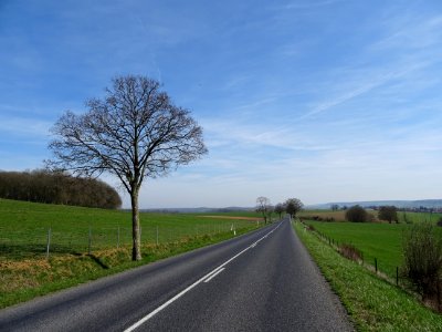 Seul sur la route vers Montmédy et Thonne-le-Thil, Meuse photo