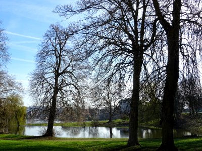 Petit plan d'eau entre la gare et la Meuse, Sedan, Ardenne… 