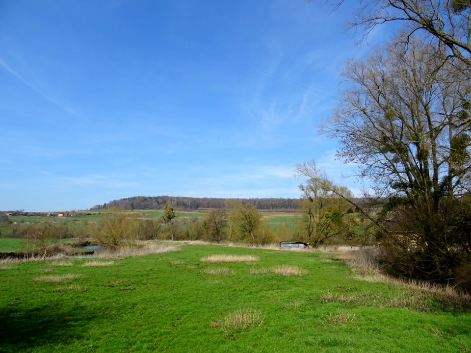 DSC04427 