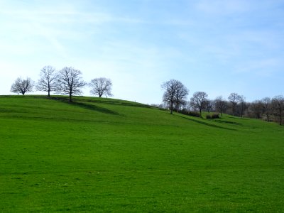 Immenses prairies et vertes collines avant d'arriver à Ver… 