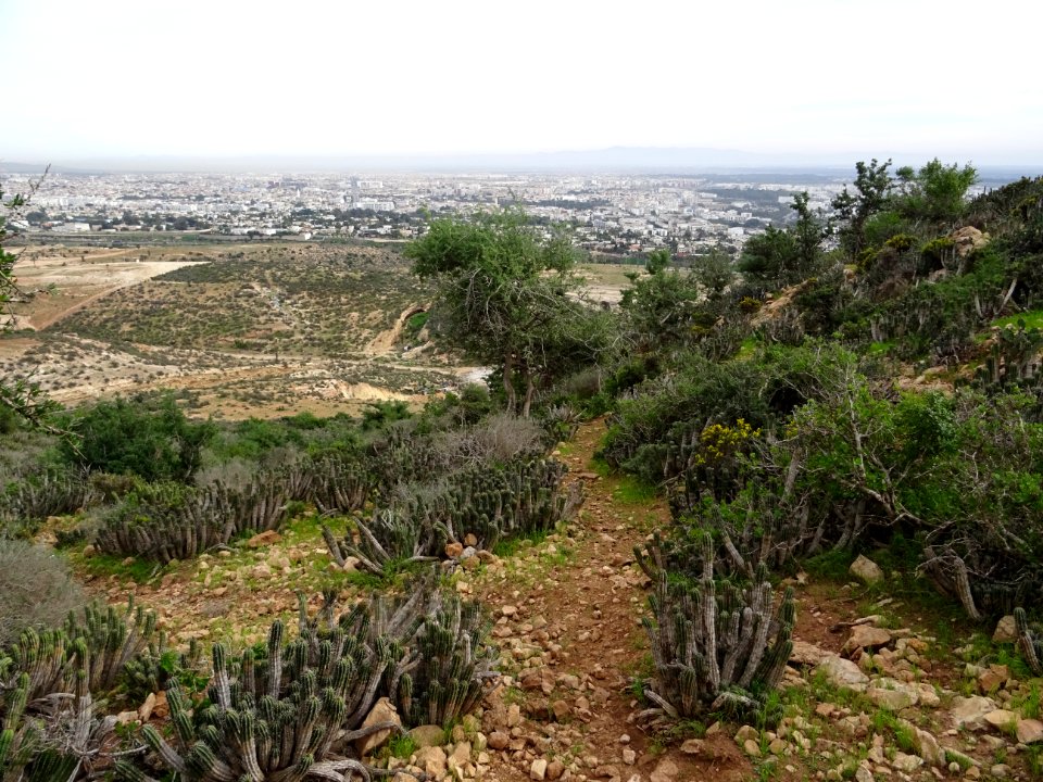 La descente s'annonce épineuse et cacteuse ... à souhait. … 