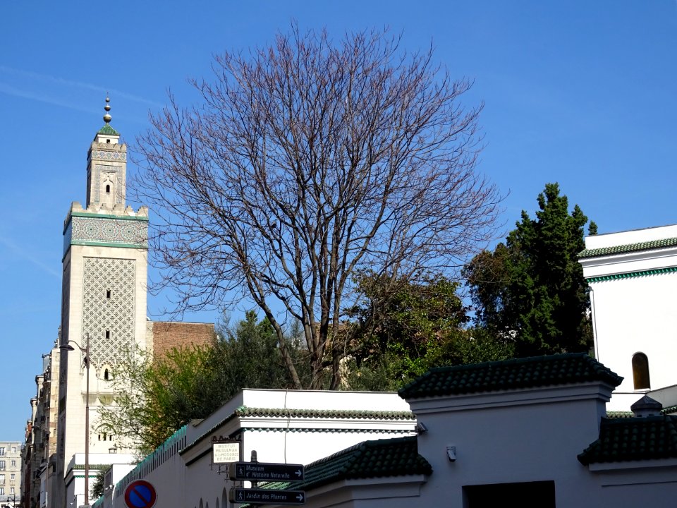 La Grande Mosquée, vue à l'angle rue Daubenton et rue Geor… 