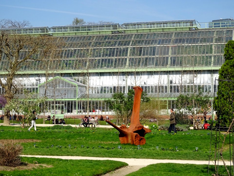 Dans le Jardin des Plantes, la serre des forêts tropicales… 