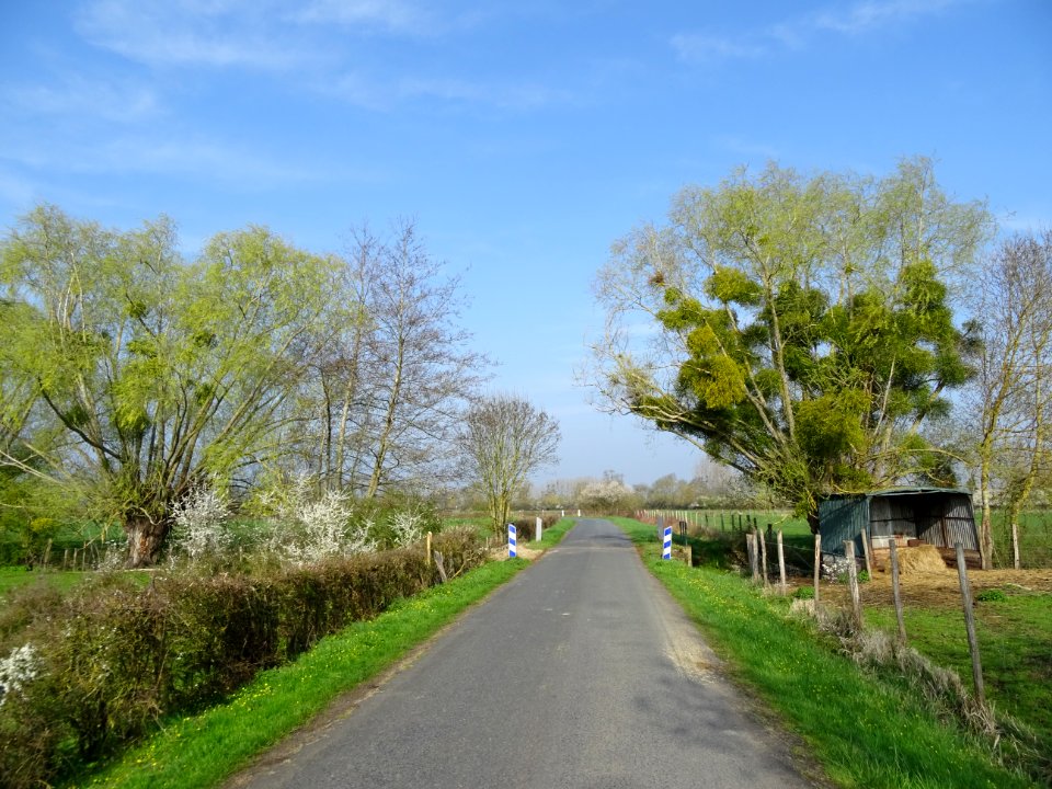 Rue de Meung entre Dry et Beaugency, Loiret 