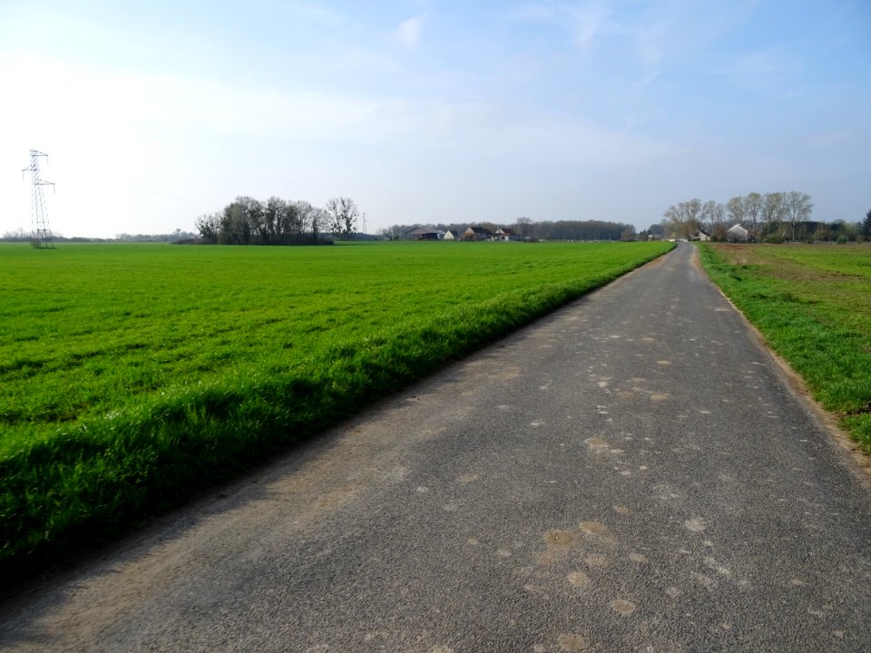 Route de Dry entre Cléry-St-André et Beaugency, Loiret 