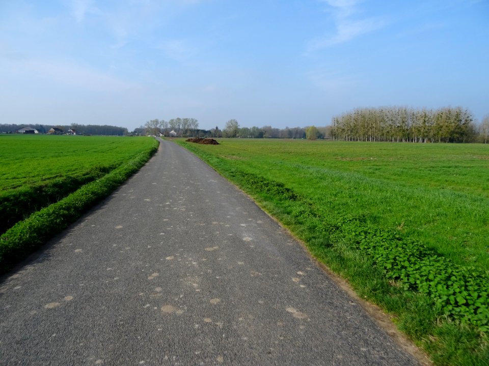 Route de Dry entre Cléry-St-André et Beaugency, Loiret 