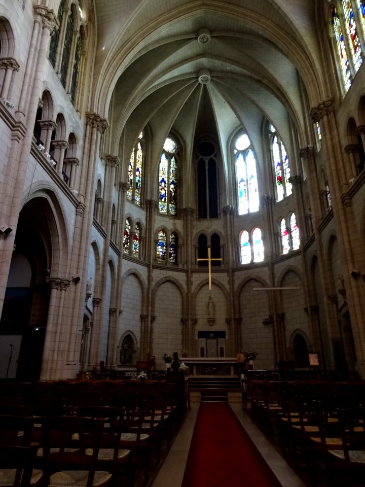 Nef, cathédrale Notre-Dame-du-Liban, église du culte maron… 