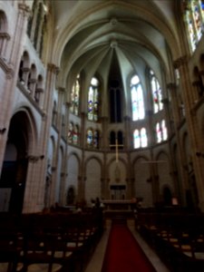 Nef, cathédrale Notre-Dame-du-Liban, église du culte maron… 