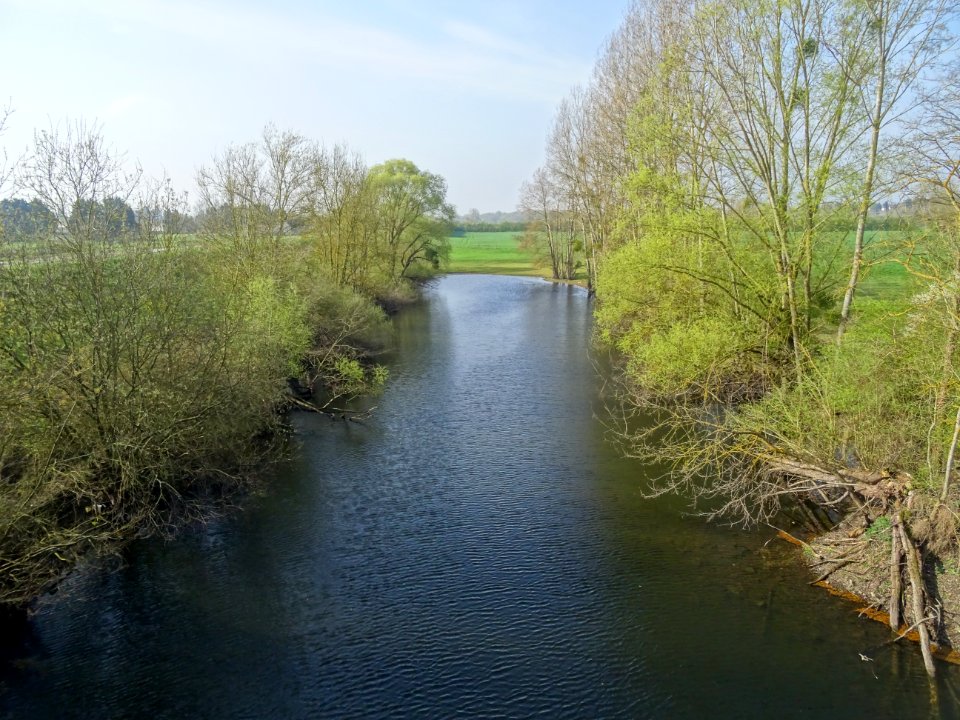 Etang sous la D19 avant Beaugency, Loiret 