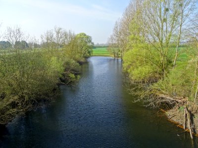Etang sous la D19 avant Beaugency, Loiret 