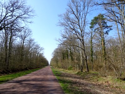 La D33 passe à travers la Réserve nationale de chasse et f… 