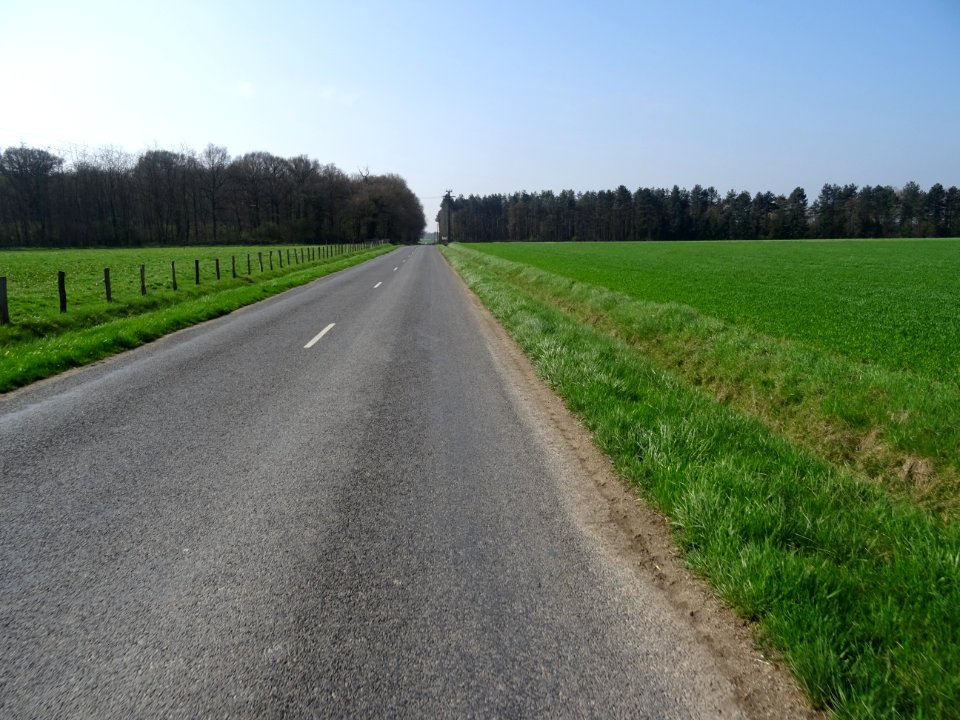 D112, en route vers Chambord, Loir-et-Cher 